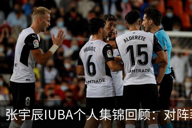 张宇辰IUBA个人集锦回顾：对阵菲律宾末节连进4记三分