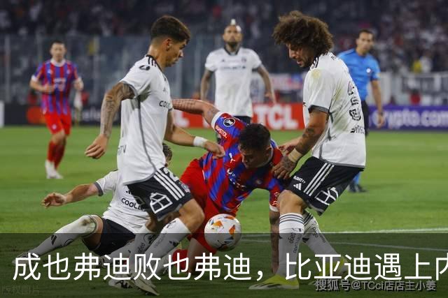 成也弗迪败也弗迪，比亚迪遇上内部难题？
